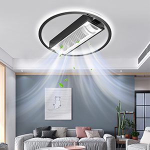 Ceiling Fan With Lights